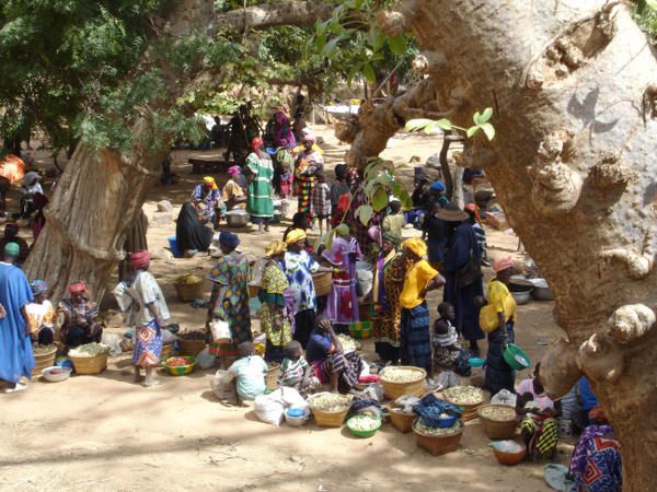 Album - VILLAGE-KANI-KOMBOLE - MALI 2008