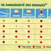 Planète GAIA -> Monde Animal -> Homme -> Cerveau -> Tous drogués ? <-