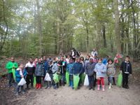 Sortie en forêt