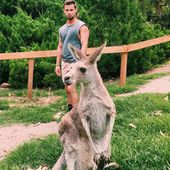 #Kangaroo #Koala - Tommy at Currumbin Wildlife Sanctuary (Australia) : "My face when chasing kangourous tho 😂" (14/01/2020, updated 26/07/2020) #StaySafe #SortezCouverts 😷 - Coups de cœur : blogueurs, artistes, séries, films, TV,... Crushes: bloggers, artists, series, films, TV...