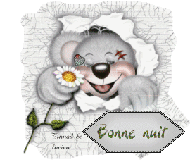 Bonne nuit - Ourson - Fleurs - Gif scintillant - Gratuit