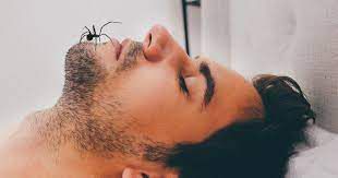 Chaque humain mangerait régulièrement une araignée durant son sommeil (voire toutes les nuits).