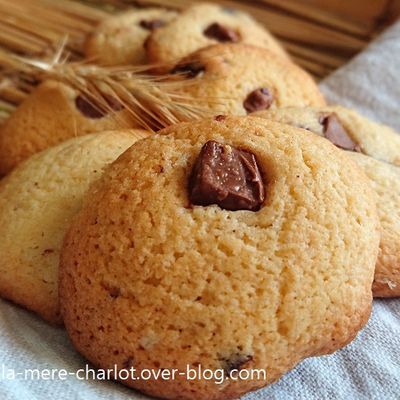 Cookies aux 2 chocolats