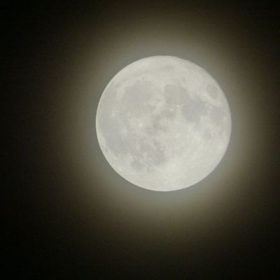 Humour Homme: La femme idéale