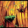 Donkey Kong Country Returns - Une suite prévue ?