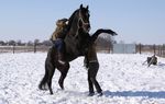 Lisez le journal de l'équitation pour tous !