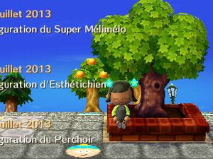 Le secret de l'arbre de la place
