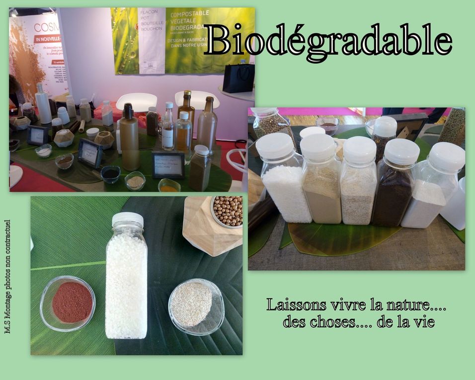 7 - Esplanade lycée Bellevue. Frédérique Colombelle artiste en APIVIA. Bouteilles en Bio-Dégradable Innovation locale vers l'international