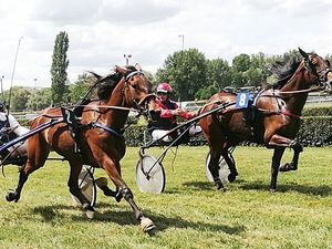 9 Août  2018 ENGHIEN- R1-C3 - Trot