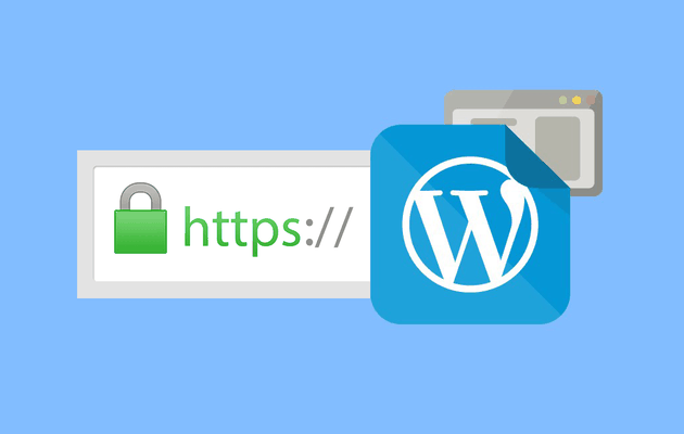 Importance Of SSL Certificate For Your WP Website