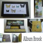 Album Brook