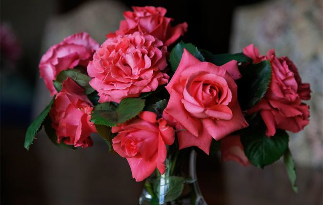 Un bouquet de roses