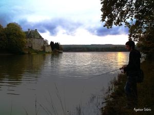 Étang de l'Abbaye à Paimpont 