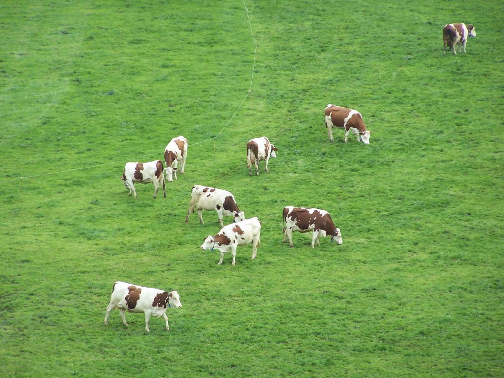 Album - cantal-2013