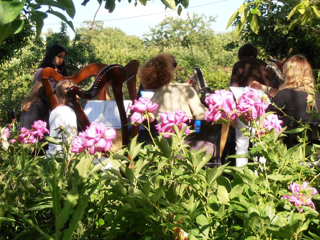 Concert de harpes celtiques le 7 juin 2012