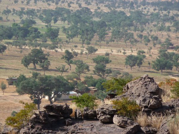 Album - A - Mali-2008 : Le pays Dogon