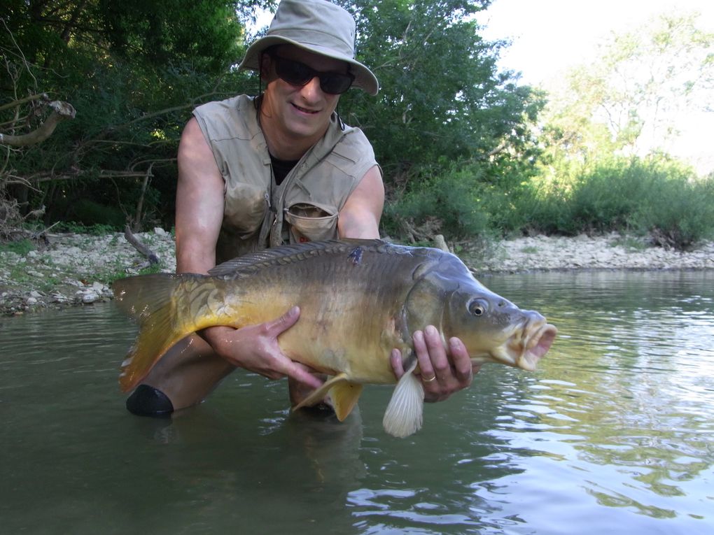 Une série de photos de carpes prise a la mouche