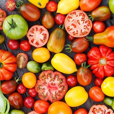 La santé des gourmets: La tomate