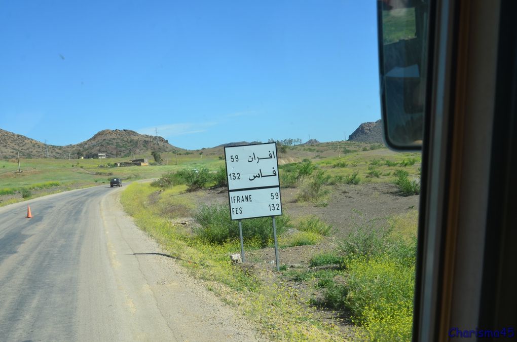 Sur la route de Meknès, Azrou, Ifrane (Maroc en camping-car)