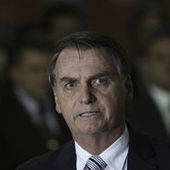 Bolsonaro veut " lutter contre la pression internationale " sur l'Amazonie