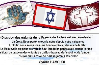 Monsieur Macron voulait faire du zèle, il s'est coupé les ailes ... Syndia Hamoudi 
