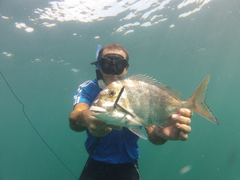 Album - Saison 2012 Oman et panama