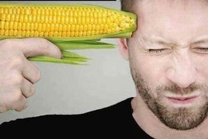 ¿Por qué una campaña contra Monsanto?