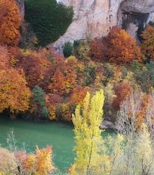 tarn à tatouille