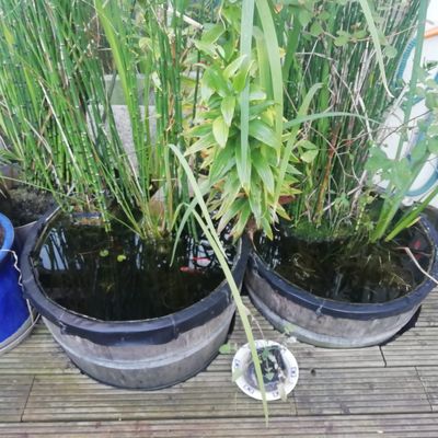 Groupe Refuges LPO Gironde