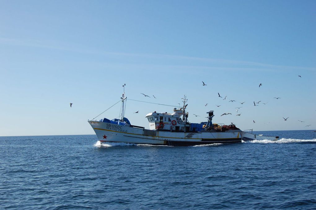 Le calendrier de l'Avent de CasaMar J6 - Bateaux et pêche à Sesimbra