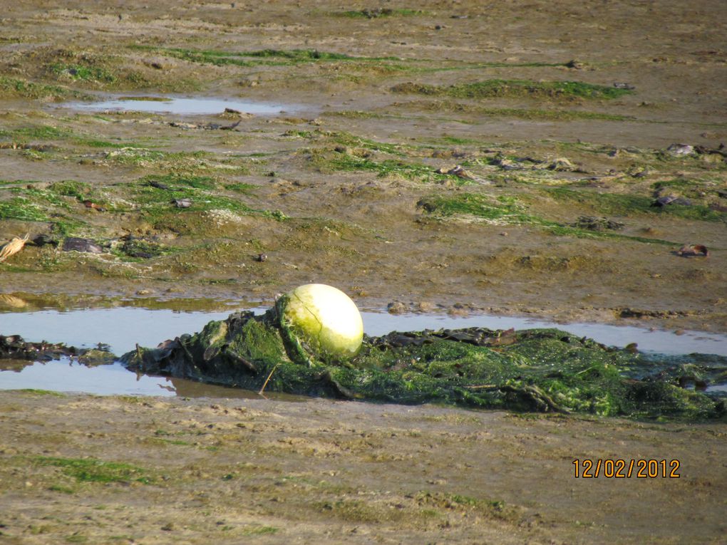 Album - La-mer-en-bretagne