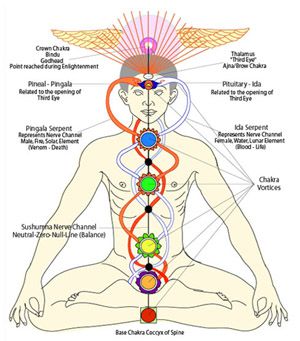 Message de la Terre : Le serpent dans l’abdomen (canalisé par Pamela Kribbe) -05/06/2023.