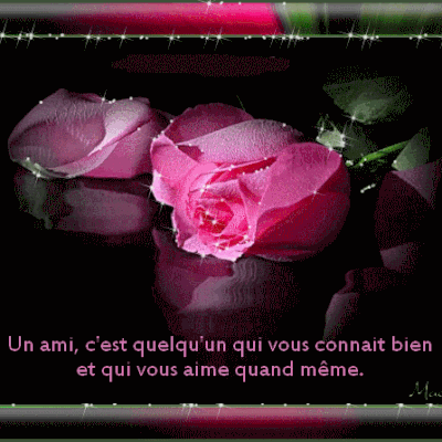 Un ami c'est quelqu'un qui vous connait bien et qui vous aime quand même - Citations - Gif scintillant - Gratuit