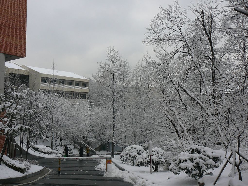 Le 10 mars 2010, Korea University était sous la neige...