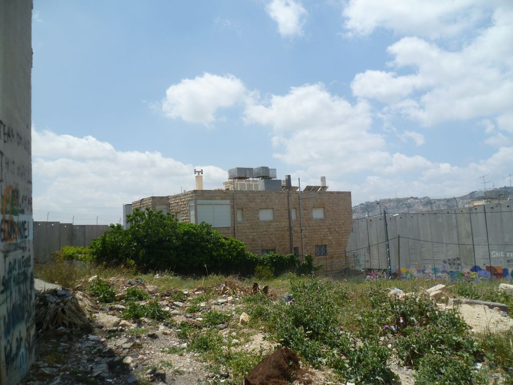 Israël et les Territoires Palestiniens, de Tel-Aviv à Hebron, en passant par Jérusalem.