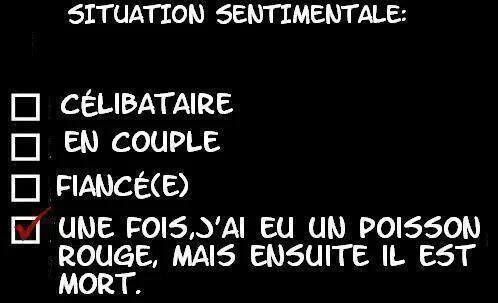 Humour Actualites Citations Et Images Humour Images Actualites Citations Insolite Films A Voir Video Et Aussi Les Meilleurs Tweets Tous Les Jours Des Nouveautes