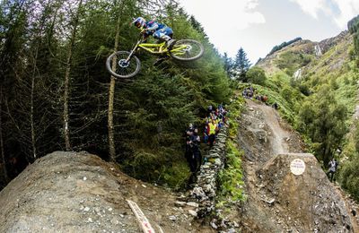 Monstrueuse Red Bull Hardline 2015