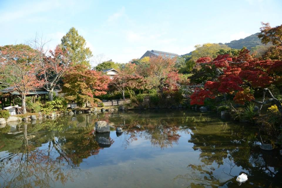 CARNET DE VOYAGE - Au pays du soleil levant - JAPON - novembre 2013