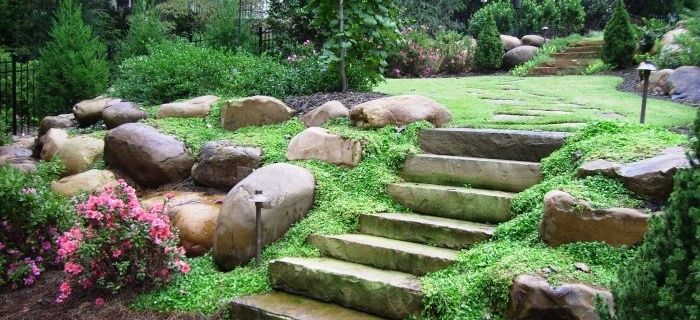 Il giardino roccioso