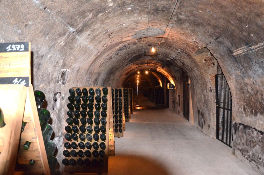 Dans les salons du Champagne COLLET-COGEVI suivi de la visite des caves et de la  Maison COGEVI