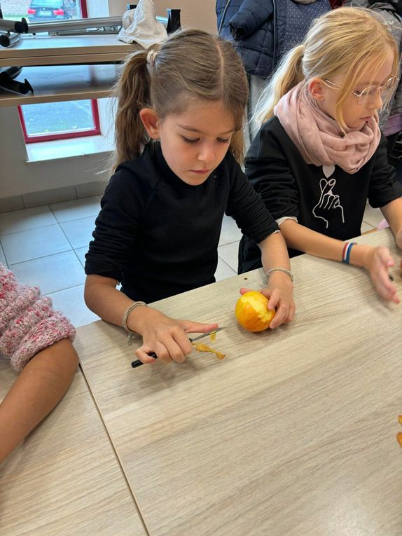 Ce matin nous avons nourri les moutons et cuisiné une recette typique. Cette après midi petite visite des animaux de la ferme. Les oiseaux  Et ensuite fabrication d’un attrape rêves et dégustation de nos rabottes ( spécialité ardennaise )