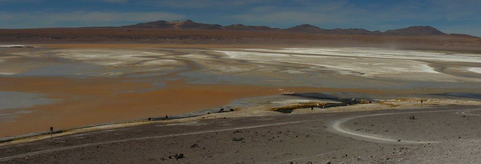Bolivie, Sud Lipez, laguna colorada.....