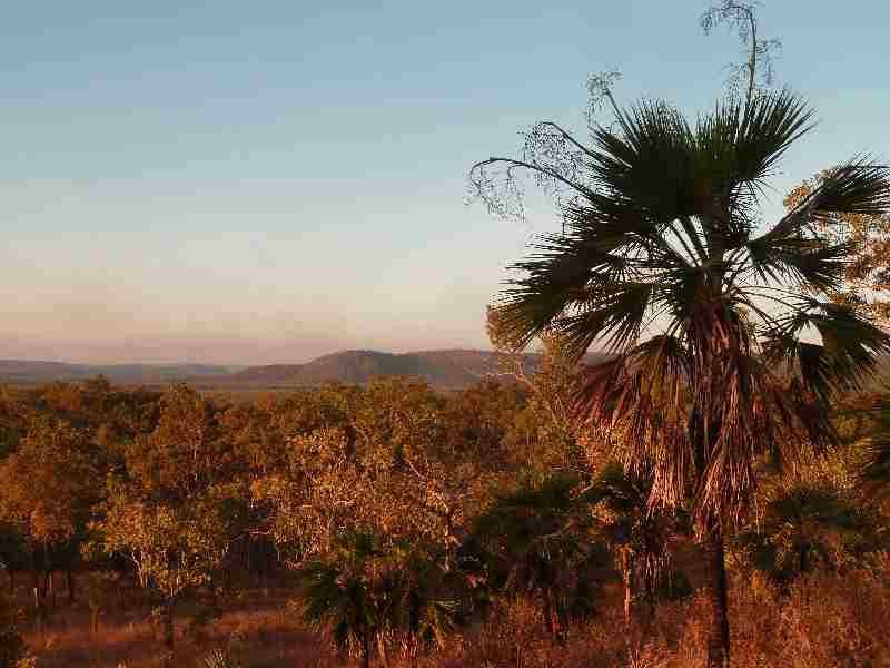 Album - 44 Roadtrip from Darwin to Cairns