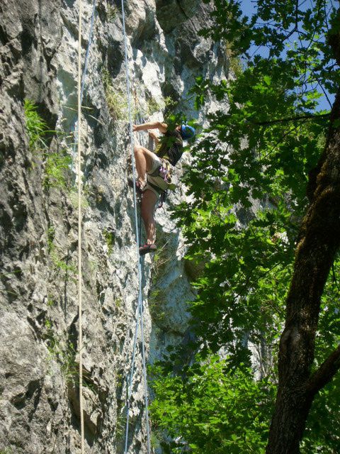 Les escaladeurs