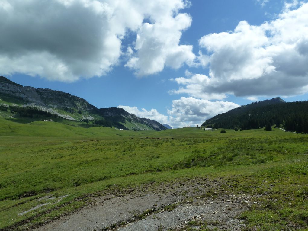 Album - Plateau-des-Glieres