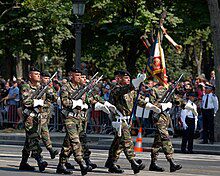 Defile 14 juillet 1993