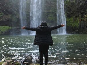 Whangarei falls