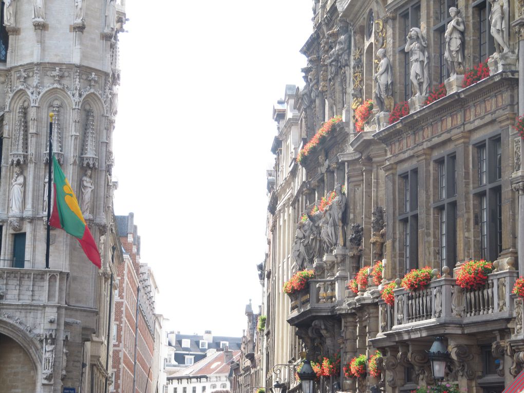 Quelques clichés de la Grand-Place de Bruxelles ensoleillée.