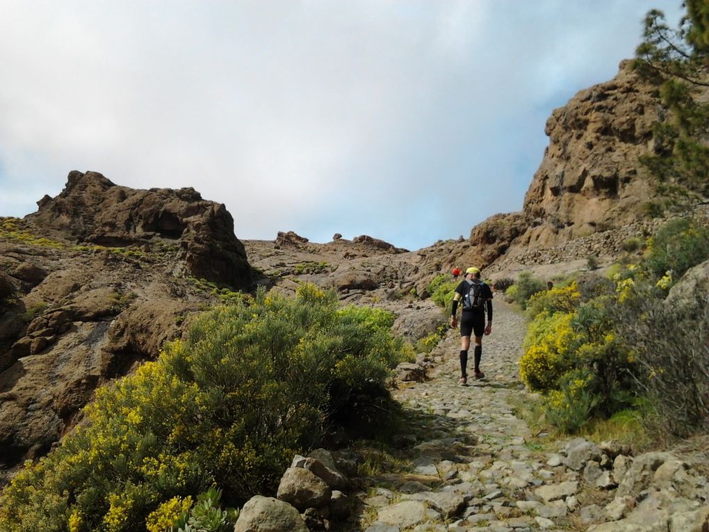 ultra trail 119 km aux Canaries le 1er mars 2013