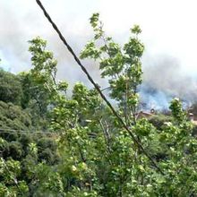 Très importants incendies en Corse : jusqu'à 4000 ha ravagés